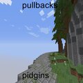 pidgins - pullbacks