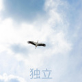 洛小菲 - 隐形的翅膀