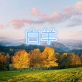 孙放放 - 刚刚好