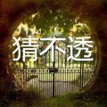 孙放放 - 麻雀