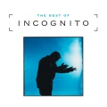 Stevie Wonder、Incognito - Don't You Worry 'Bout A Thing