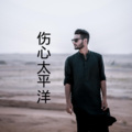 沙家、王熙 - 大头皮鞋