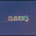 麻雀 (雷神版)