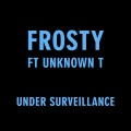 Under Surveillance (Explicit)