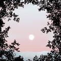 Arbes - Flutuar