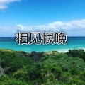 南山南 (头条版)