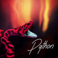 Skelly、JR Montana - Python (Explicit)