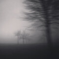 Unwilling Suspension of Disbelief