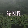 张三的歌 (高潮版)