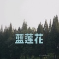空空、7妹 - 凉凉 (DJ版)