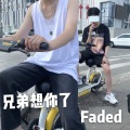 Faded - 气质动感旋律 (DJ版)