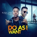 Do as I Want (Explicit)(feat. DJ Kaywise & Opa6ix版)