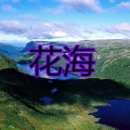 东门庆 - 夏天的风