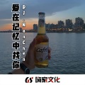 南辰 - 哈哈哈 (DJ版)