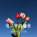 MC小东苏 - 放弃你我真的做不到 (DJ版)