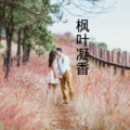 梓琪、王熙 - 枫叶凝香