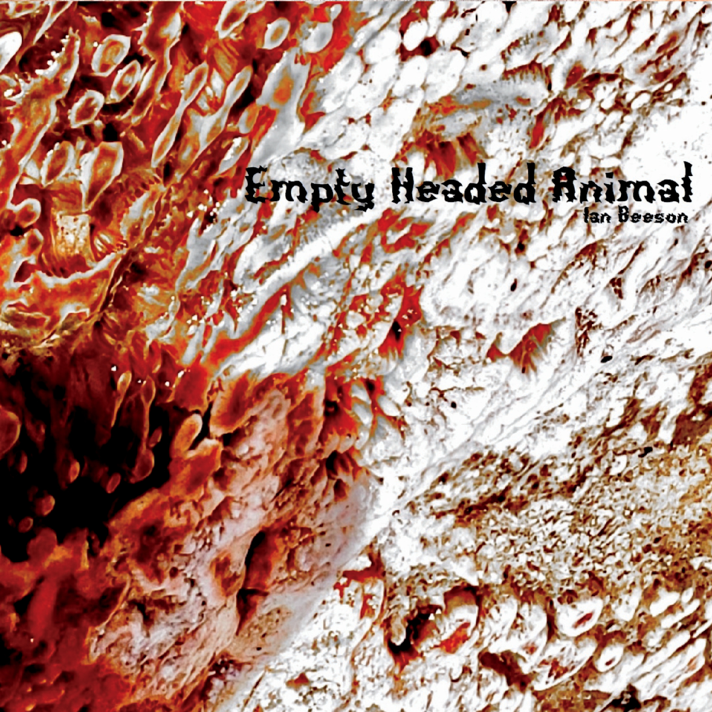 Empty Headed Animal