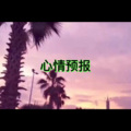 夏天的风 (人声版)