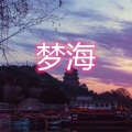 伍佰一 - 我从草原来 (电音版)