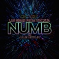 Elias Rojas、Julie Hicklin、Las Bibas from Vizcaya - Numb (feat. Julie Hicklin)(Elias Rojas Remix)