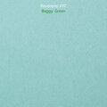 Baggy Green