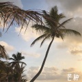 爱玩小哥喜洋洋 - 失望够了 (DJ版)