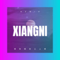 冀苑杰 - 男人不认输 (DJ咕咚版)