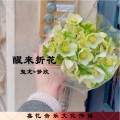 鬼龙、梦欣 - 醒来折花