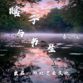 春小光 - 瞎子与书生