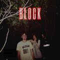 Экстравазат、ПЭЙН、Shift - Block