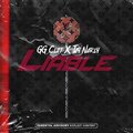 GG CLIFF、Tay Narly - Liable (Explicit)