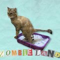 ШYNGYS - Zombieland