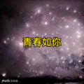 青花 (光年版)