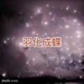 士大、圈妹 - 拥抱你离去 (Q音版)