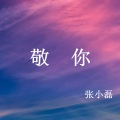 张小磊 - 敬你