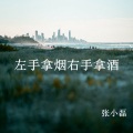 张小磊 - 左手拿烟右手拿酒