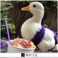 肖枫 - 大城床和小城房