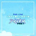 梦想起飞 DREAM