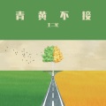 王二忙 - 理想爱情