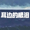 我不爱你了 (西瓜版)