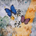 东方华乐团 - 二泉映月-二胡