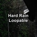 Hard Rain Loopable