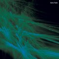 Marvin Erbe、DNS - Freitag der Dreizehnte