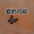 郭轩轩 - 忘记时间 (暴躁版)