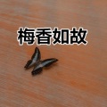 郭轩轩 - 心墙 (LOL版)