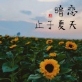 暗恋，止于夏天 (伴奏)