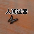 郭轩轩 - 想自由 (摇滚版)