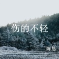 陈恳 - 伤的不轻