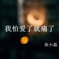 张小磊 - 我怕爱了就痛了