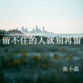 张小磊 - 留不住的人就别再留